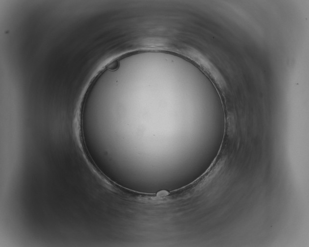 X0000102301432200808011353