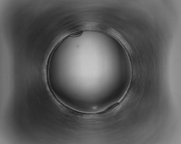 X0000102301434200808011353