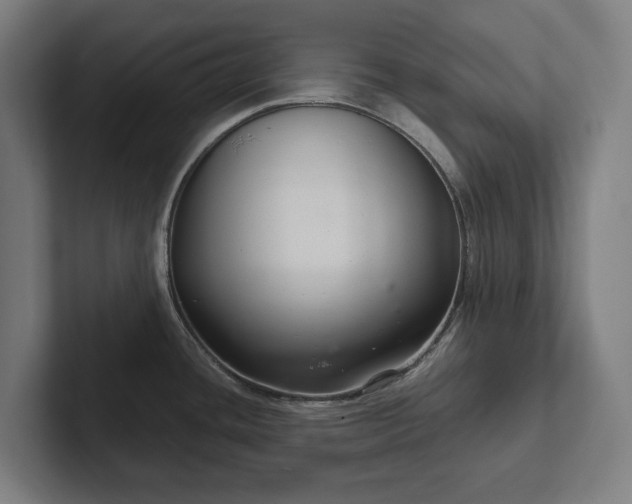 X0000102301436200808011353