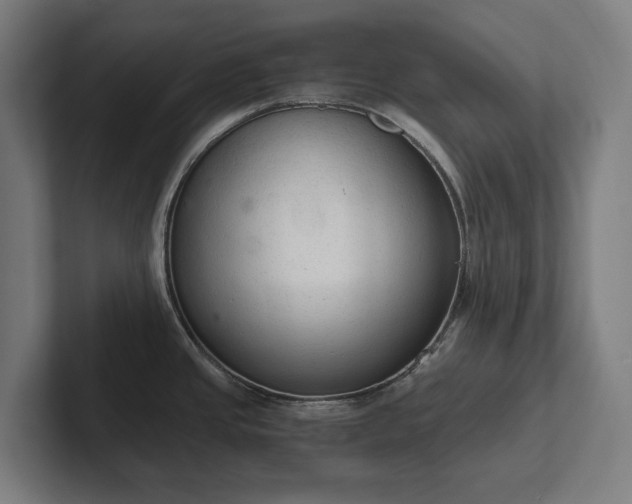 X0000102301437200808011353