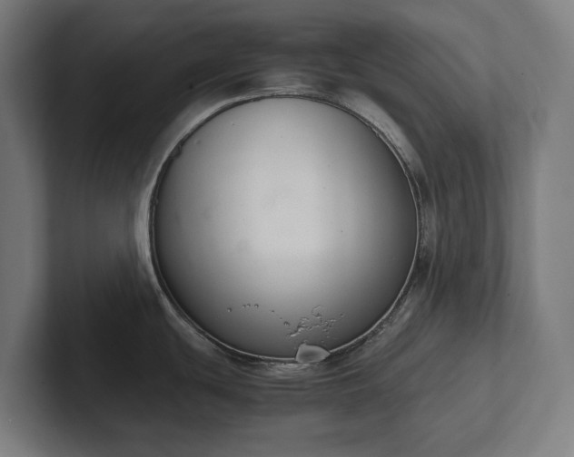 X0000102301439200808011353