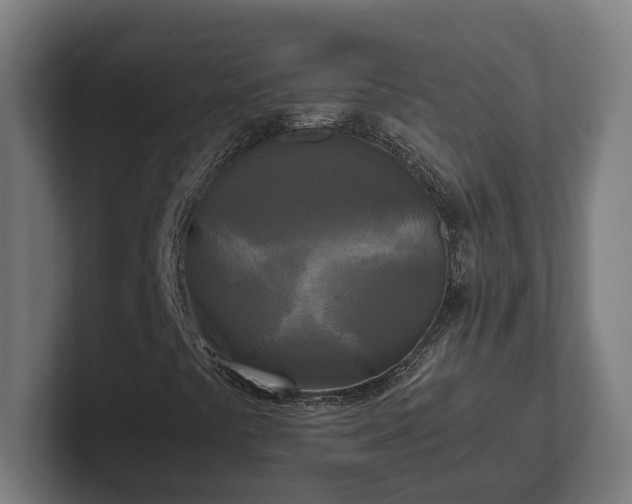 X0000102301441200808011353