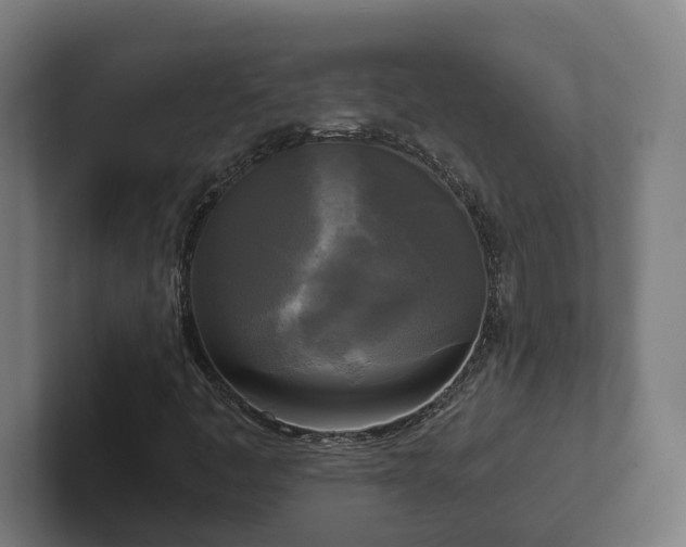 X0000102301445200808011353