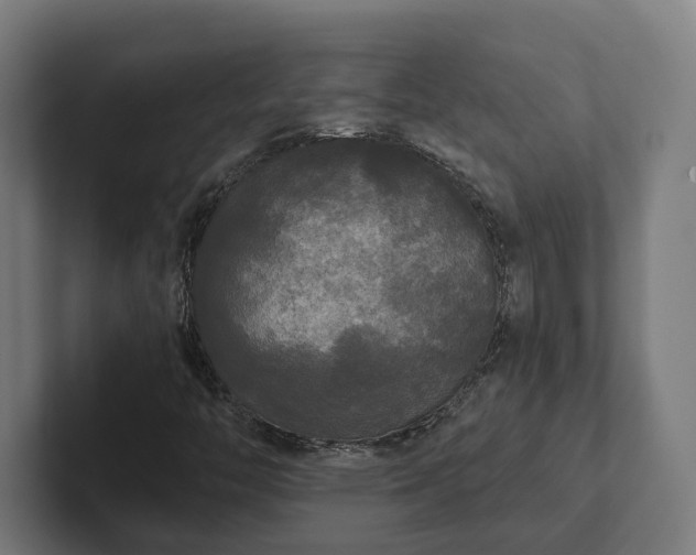 X0000102301446200808011353