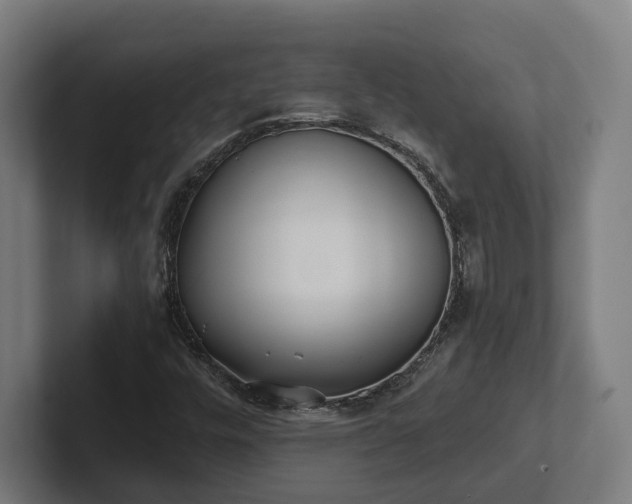 X0000102301448200808011352