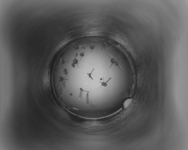 X0000102301450200808011352