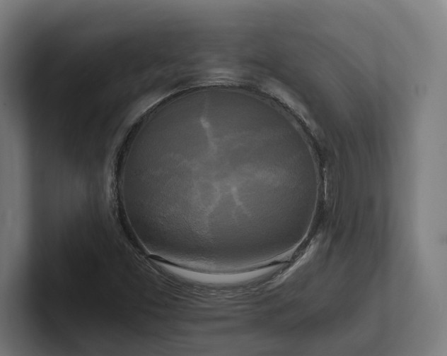 X0000102301453200808011352