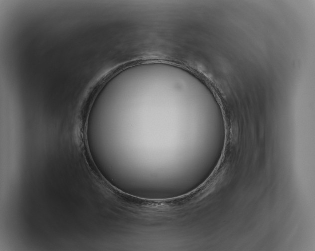 X0000102301454200808011352