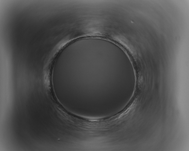 X0000102301455200808011352