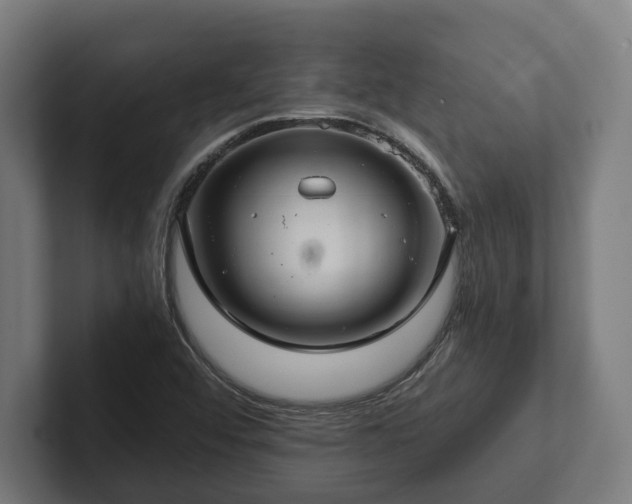 X0000102301456200808011352