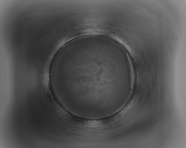 X0000102301459200808011352