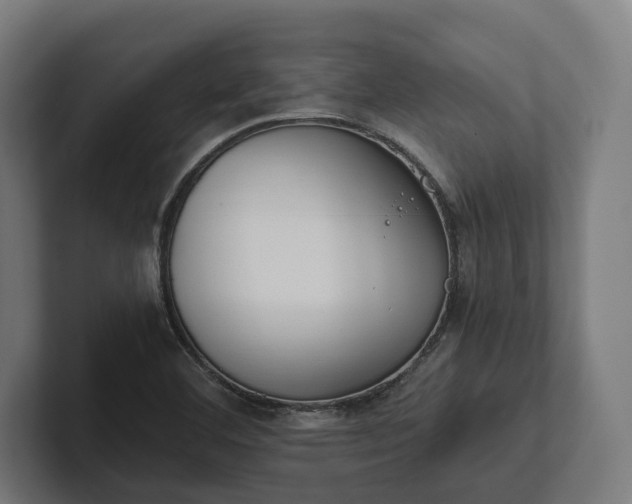 X0000102301460200808011352