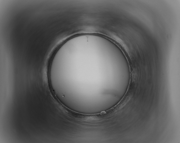 X0000102301464200808011352