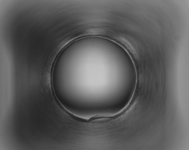 X0000102301465200808011352