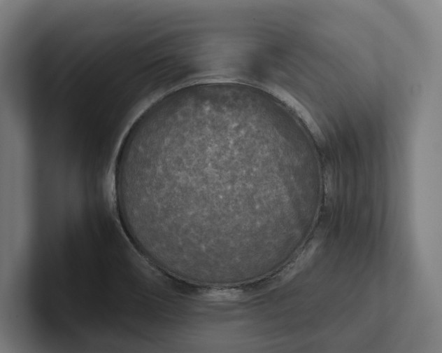 X0000102301466200808011352