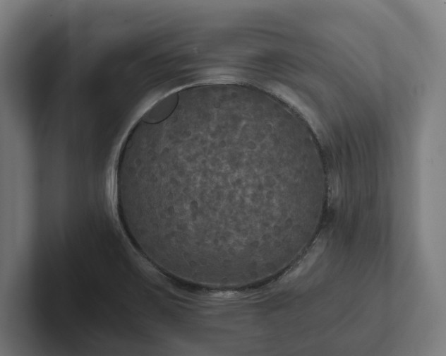 X0000102301467200808011352