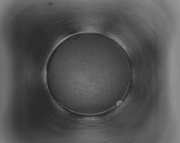 X0000102301468200808011352