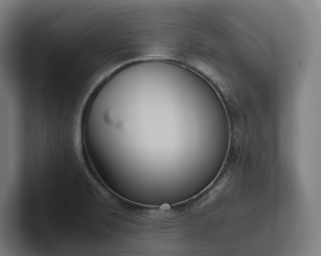 X0000102301469200808011352