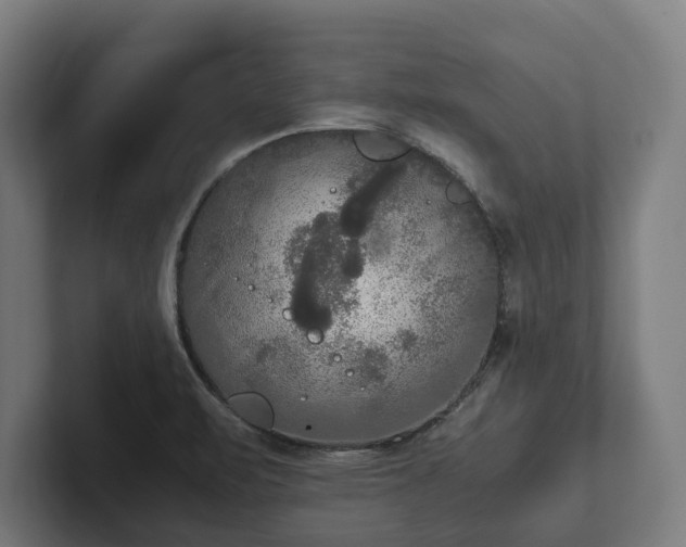 X0000102301471200808011352