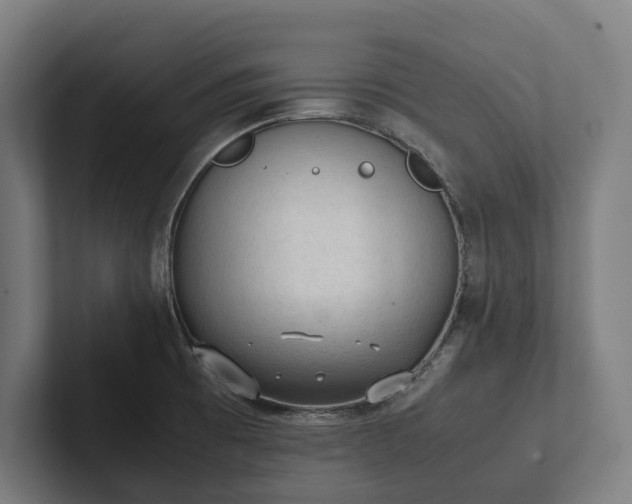 X0000102301473200808011352