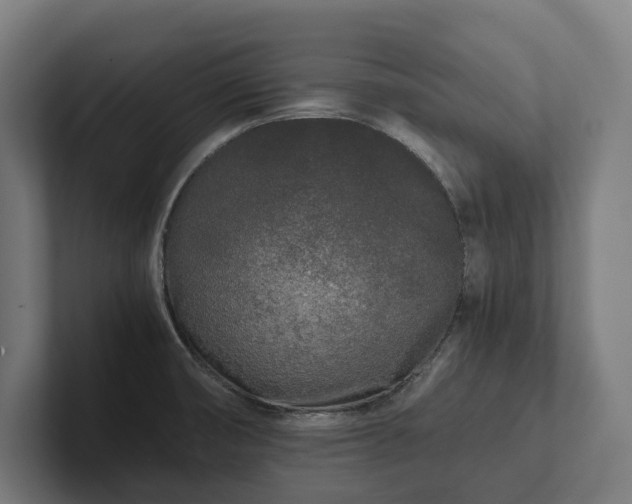 X0000102301474200808011352