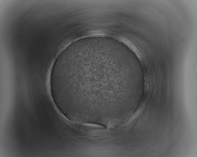 X0000102301475200808011352