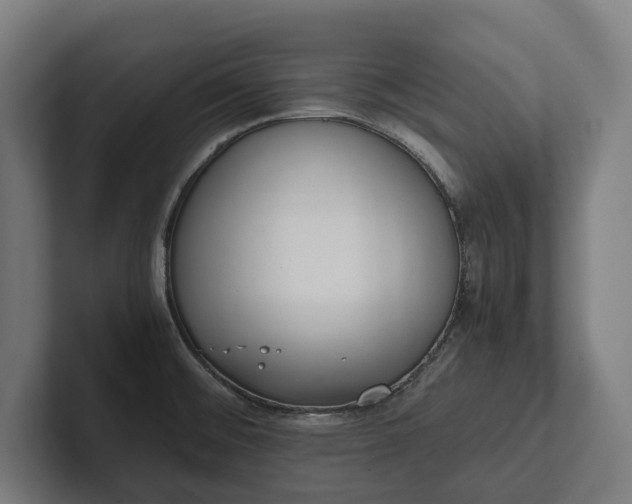 X0000102301476200808011352