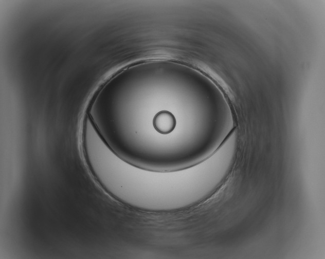 X0000102301477200808011352