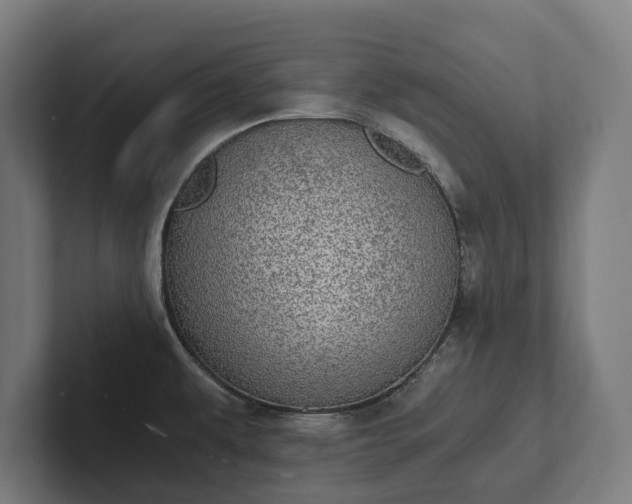 X0000102301479200808011352