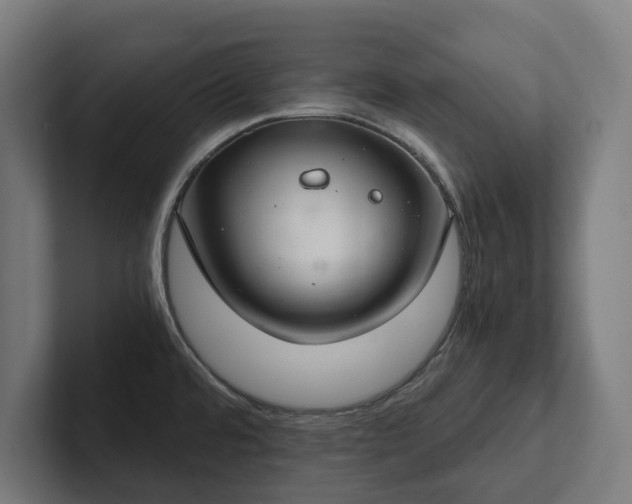 X0000102301480200808011352