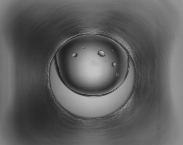 X0000102301481200808011352