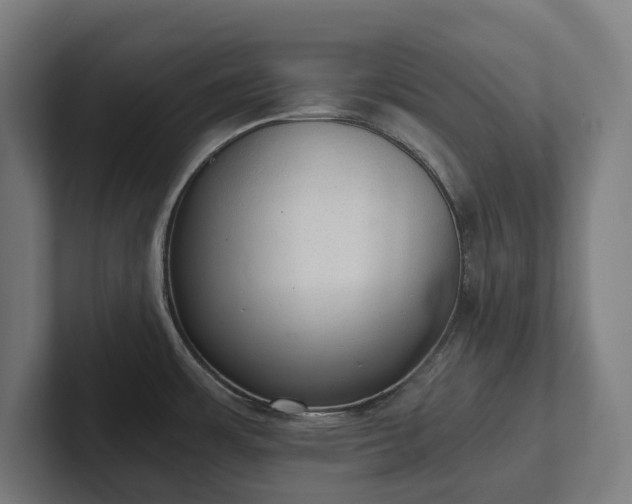 X0000102301483200808011352