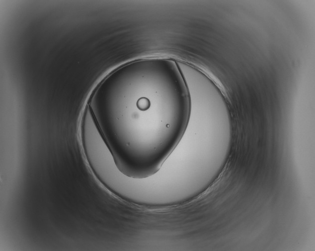 X0000102301484200808011352