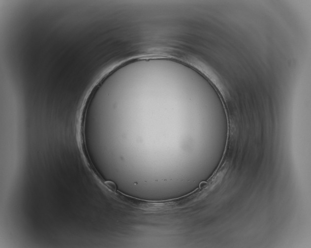 X0000102301485200808011352