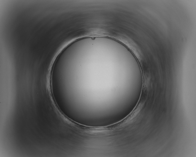 X0000102301486200808011352