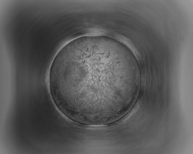 X0000102301487200808011352
