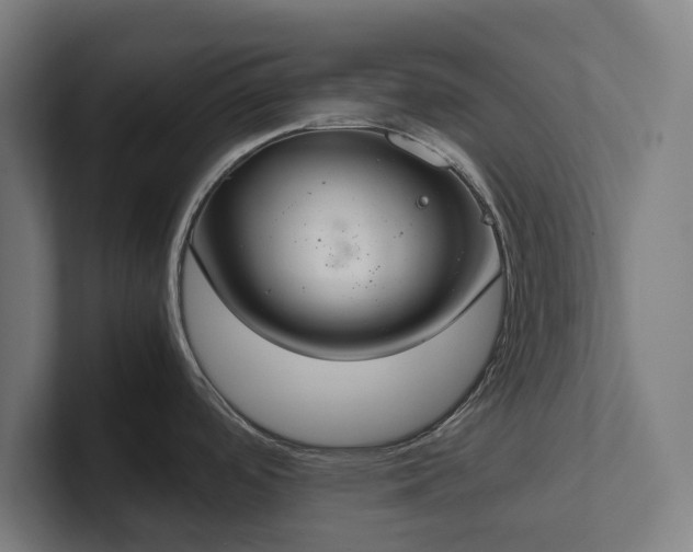 X0000102301488200808011352