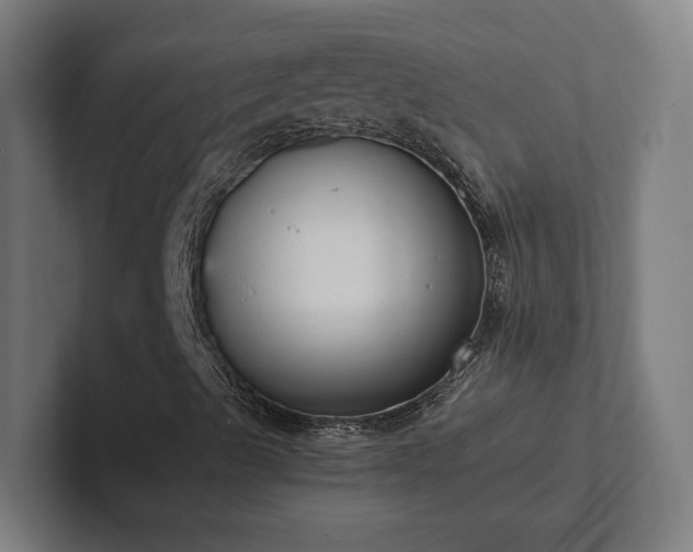 X0000102301489200808011351