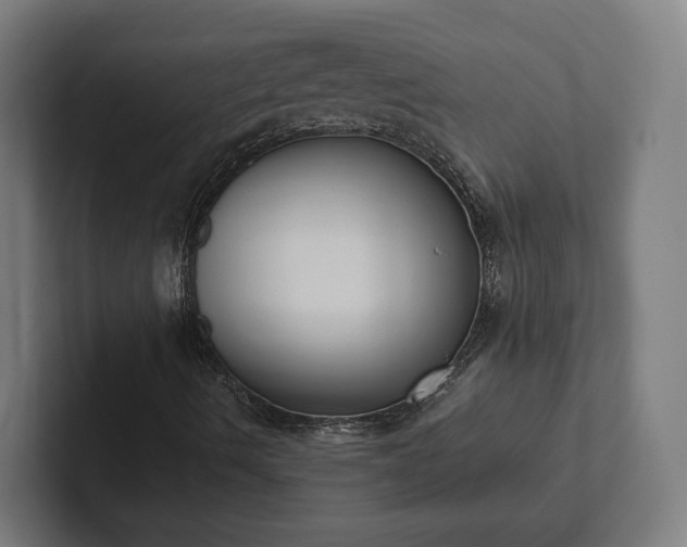 X0000102301490200808011351