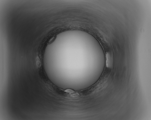 X0000102301491200808011351