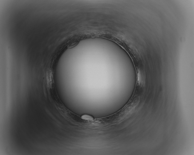 X0000102301492200808011351