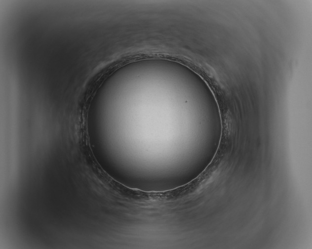 X0000102301494200808011351