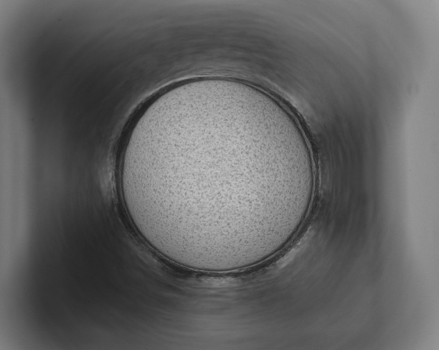 X0000102301498200808011351