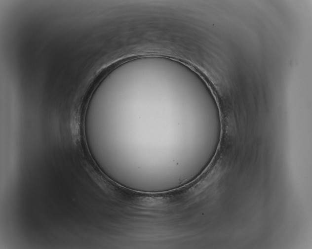 X0000102301499200808011351