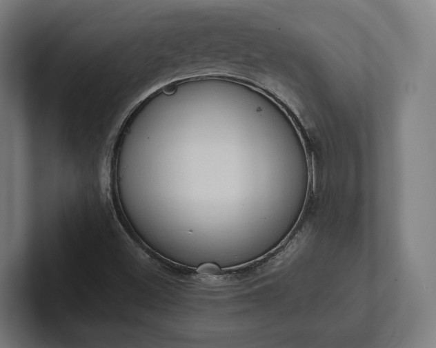 X0000102301500200808011351