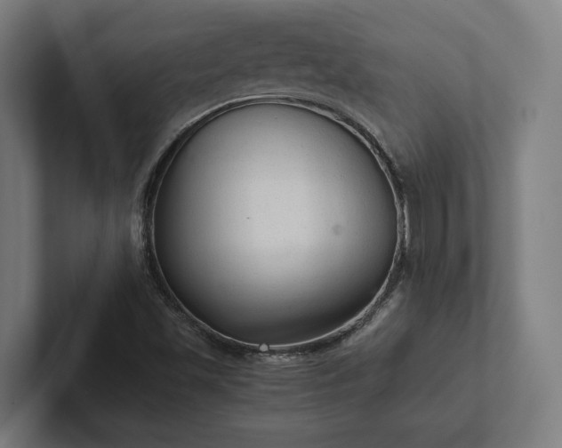 X0000102301501200808011351