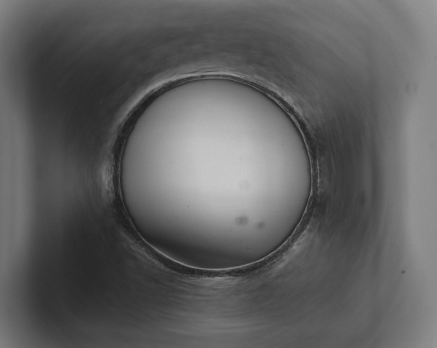 X0000102301502200808011351