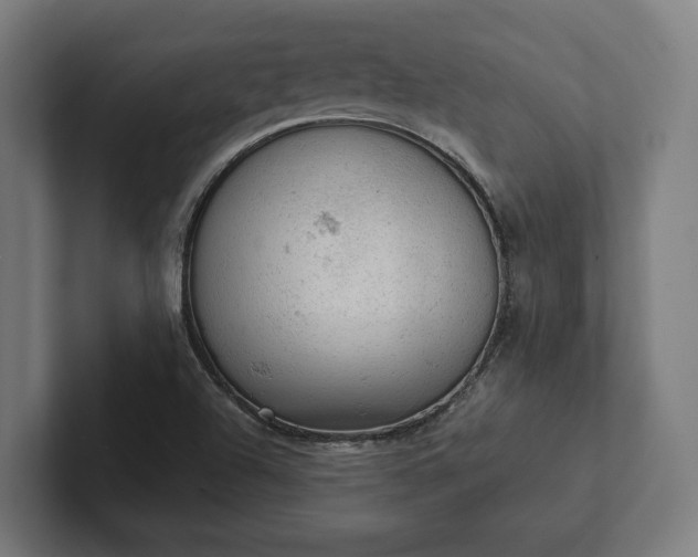 X0000102301504200808011352