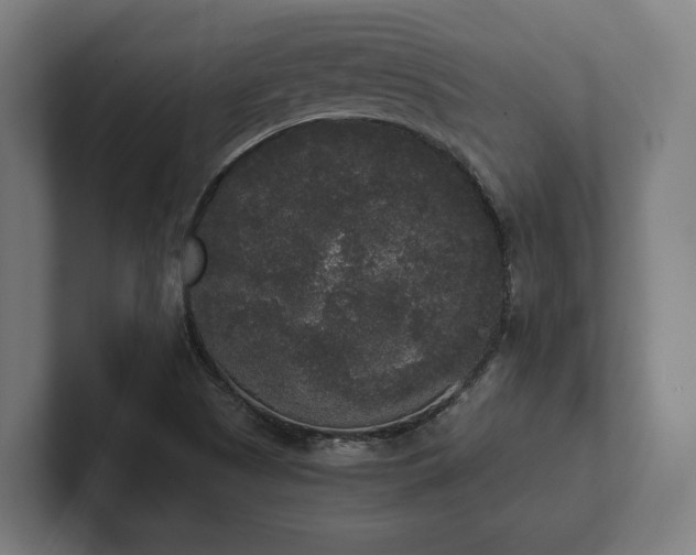 X0000102301505200808011352