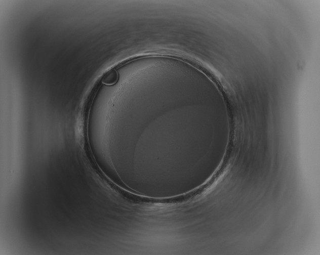 X0000102301506200808011352